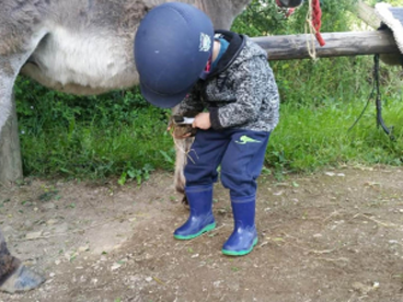 Petit enfant à côté d'un poney